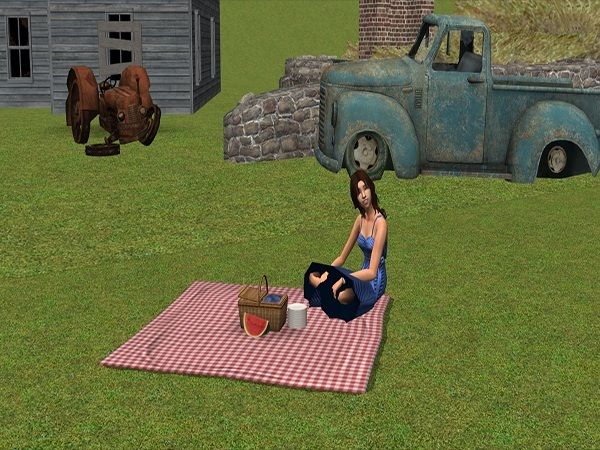 sims 2 neighborhood deco